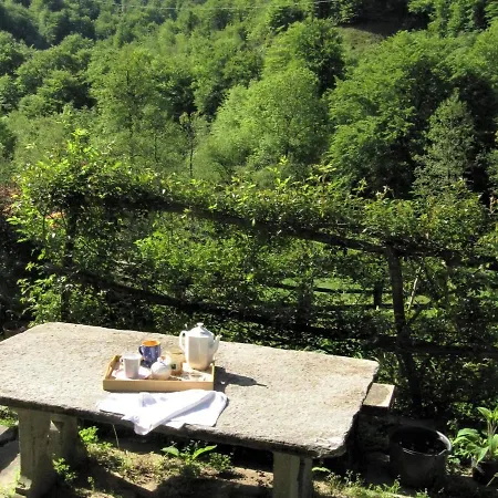 Beautiful Holiday In With Garden